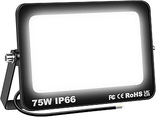 SKYWORLD Projecteur LED Exterieur 75W, 7500LM Blan