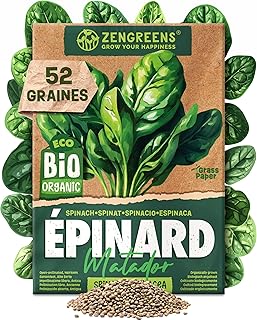 Graines de épinard bio - Semences potagères - Graines de légumes pour une culture facile au jardin, sur le balcon ou dans un potager surélevé - Matador
