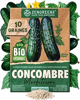 Graines de concombre bio - Semences potagères - Graines de légumes pour une culture facile au jardin, sur le balcon ou dans un potager surélevé - Marketmore