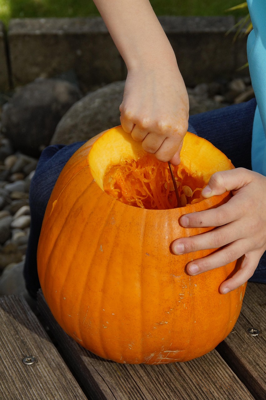 services-03 scrape off, scoop out, pumpkin, halloween, fall, orange, vegetables, hollow out, 31 october, lid, carving pumpkin, carve pumpkin ghost, halloweenkuerbis, pumpkin ghost, autumn decoration, diy pumpkin ghost, to carve, october, jack olantern, to empty, interior, inner, child, trick or treat