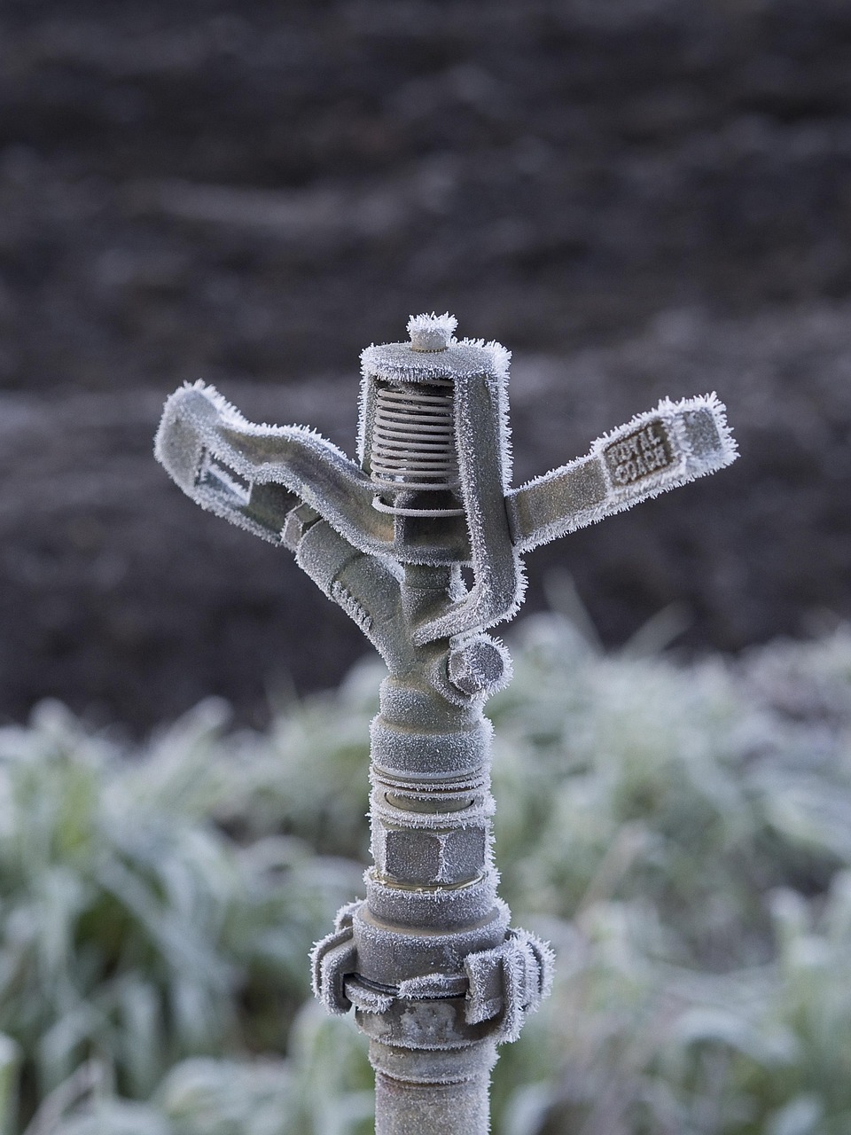 Comment installer un système d’arrosage automatique dans son jardin ?